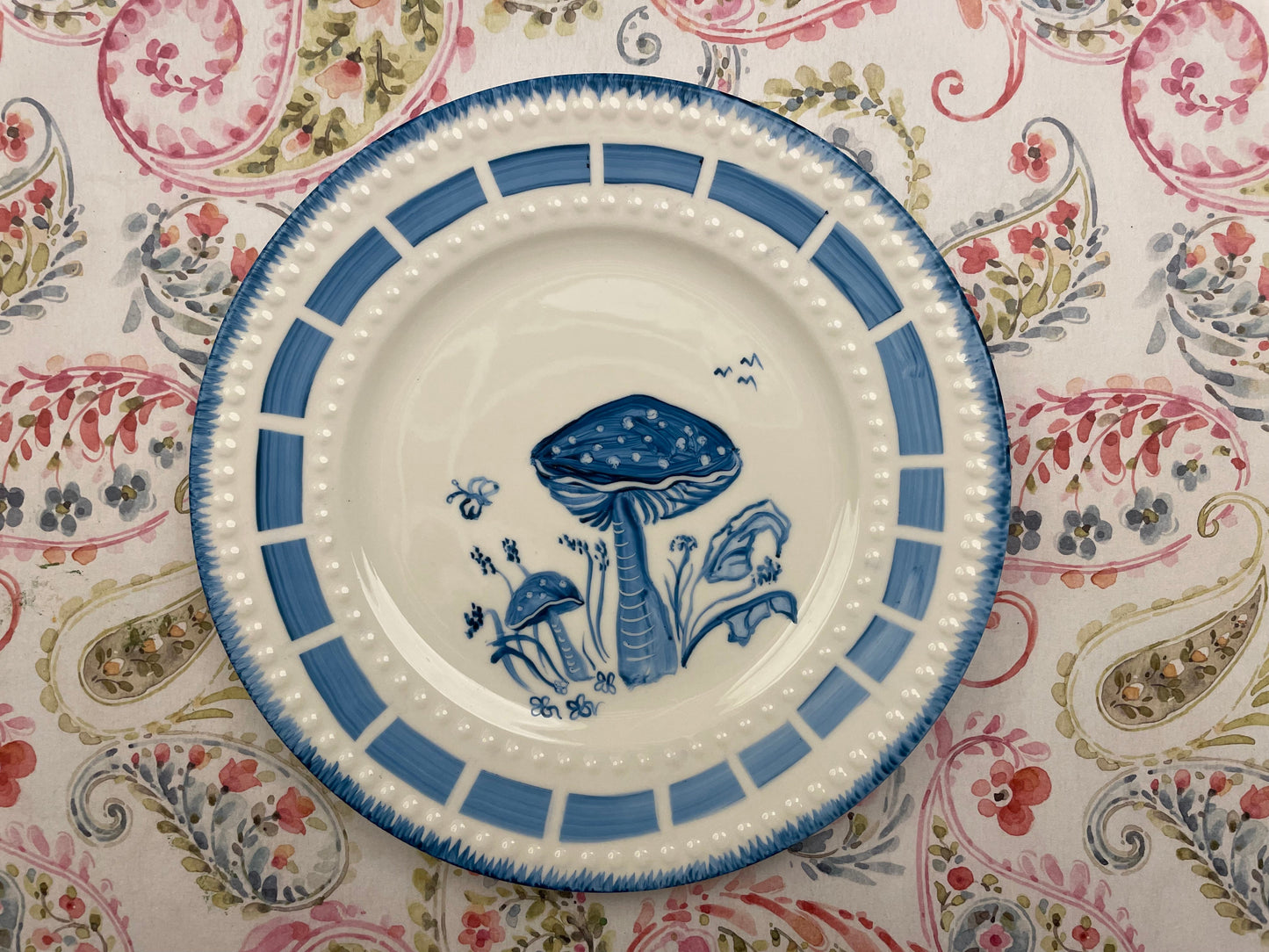 Plato Fungus